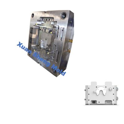 Medical Mold